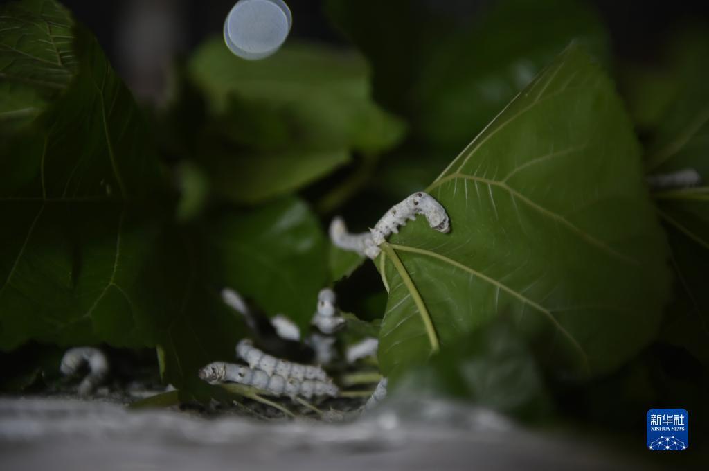 永利登录网址官方网站
